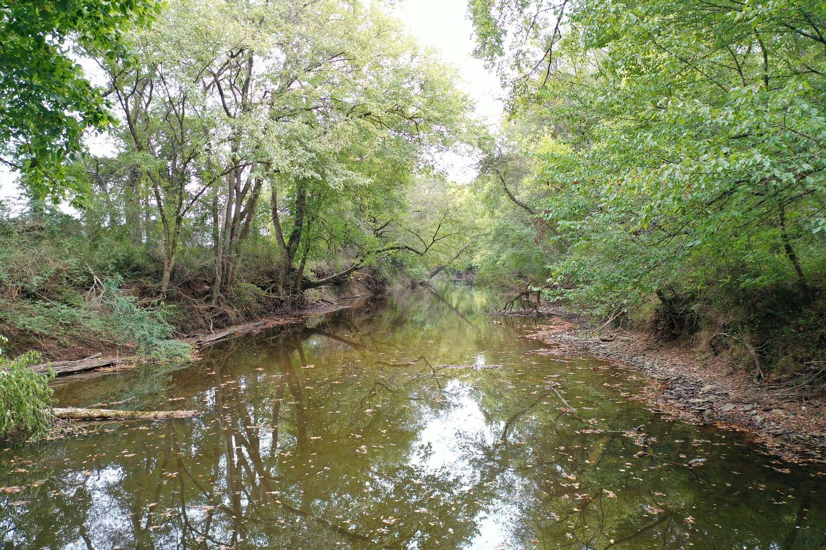 30 Acres of Land for Sale in Fayetteville, Tennessee