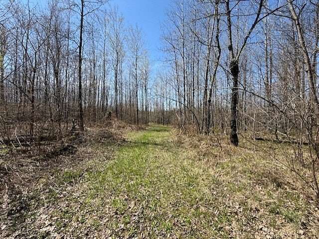 40 Acres of Land for Sale in Phillips, Wisconsin