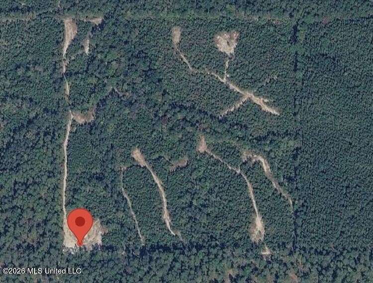 40 Acres of Recreational Land for Sale in Beaumont, Mississippi