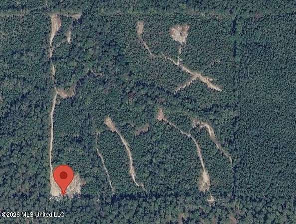 40 Acres of Recreational Land for Sale in Beaumont, Mississippi