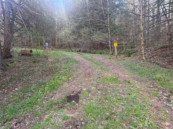 18.8 Acres of Land for Sale in Delhi, New York