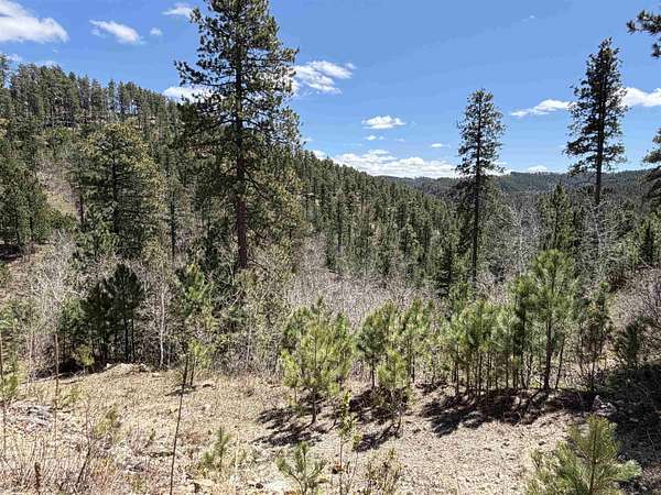 15.5 Acres of Recreational & Residential Land for Sale in Lead, South Dakota