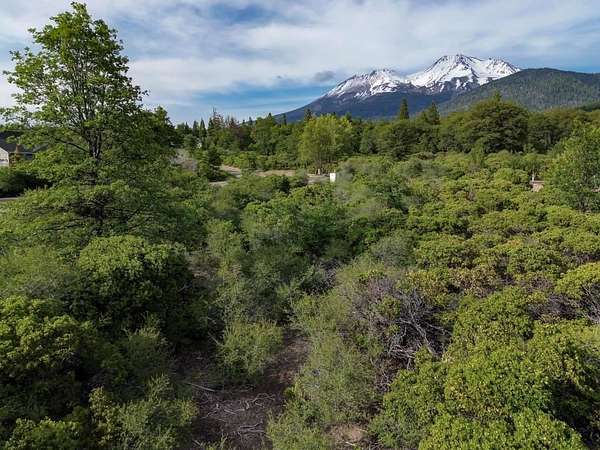 2.84 Acres of Residential Land for Sale in Mount Shasta, California