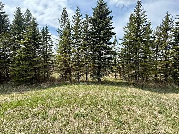 5 Acres of Residential Land for Sale in Glenwood, Minnesota