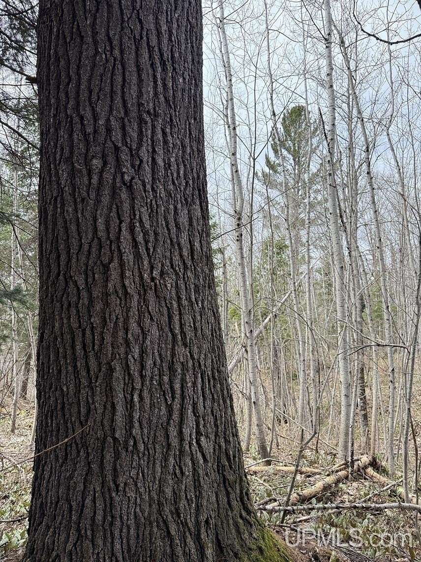 30 Acres of Land for Sale in Chassell, Michigan