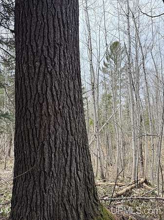 30 Acres of Land for Sale in Chassell, Michigan