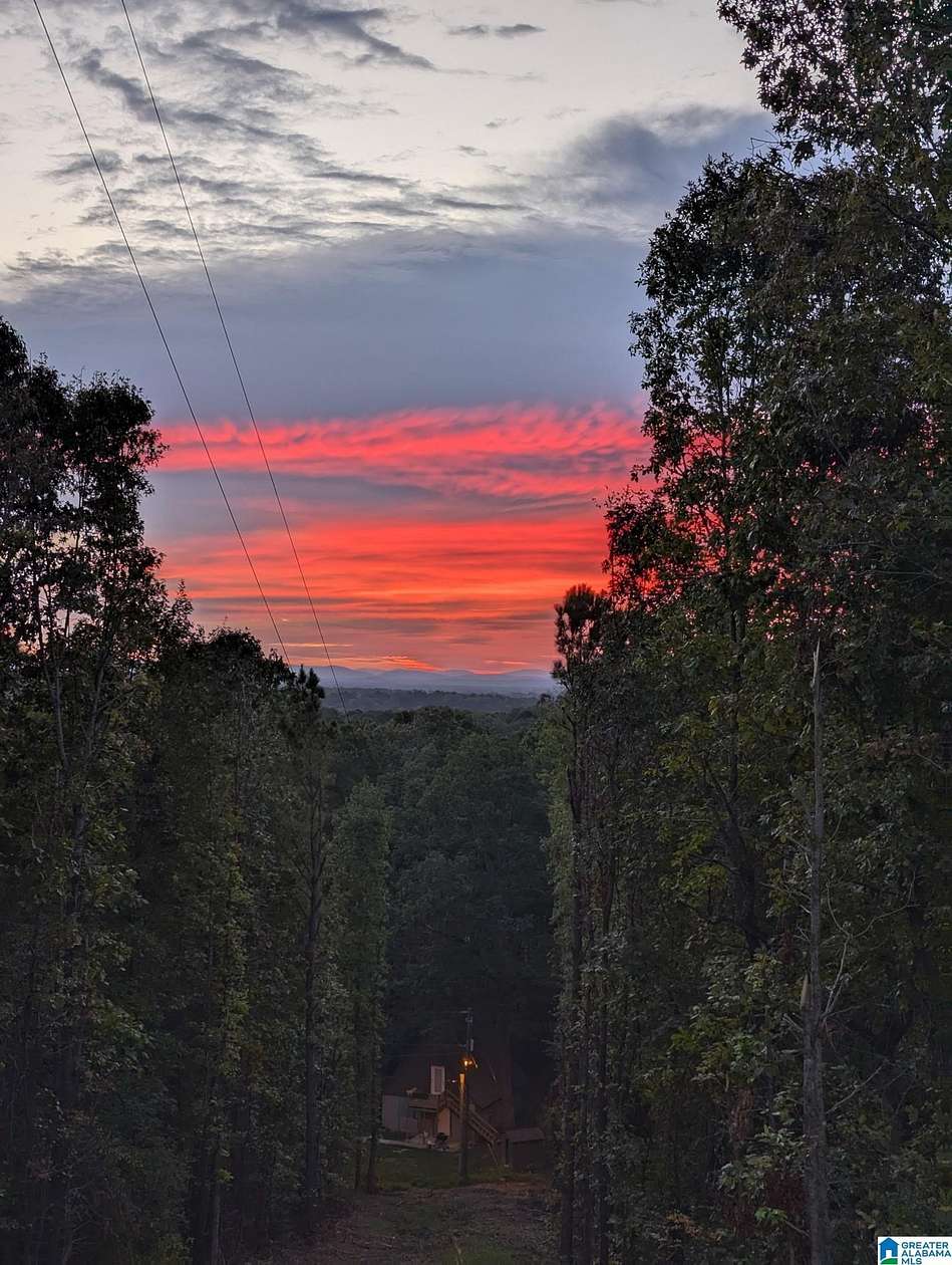 8.3 Acres of Land with Home for Sale in Vincent, Alabama
