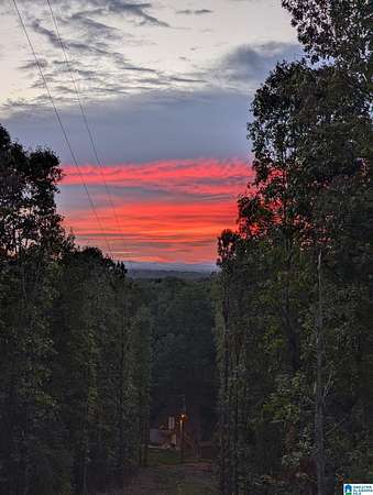 8.3 Acres of Land with Home for Sale in Vincent, Alabama