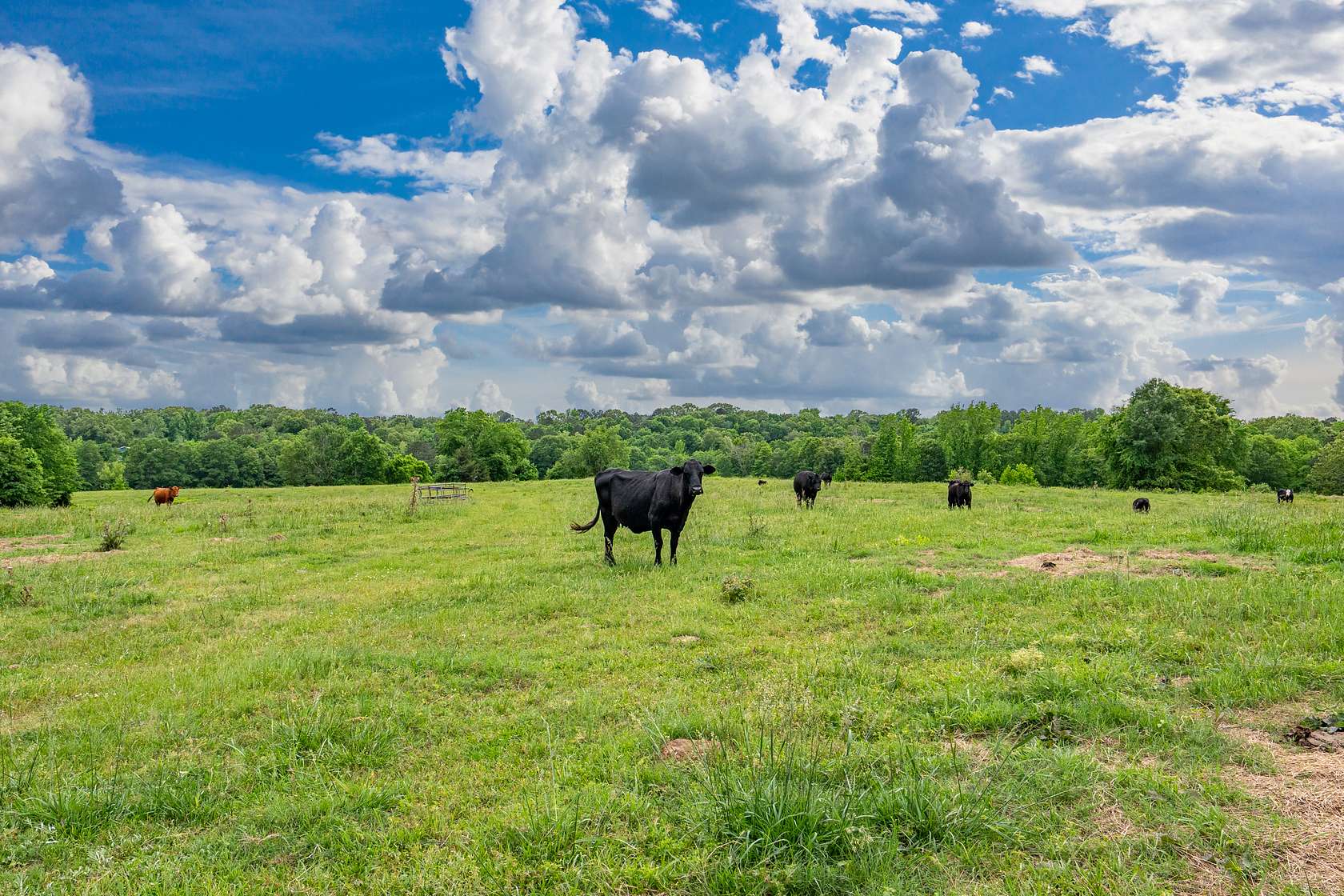 189 Acres of Improved Land for Sale in Bismarck, Arkansas