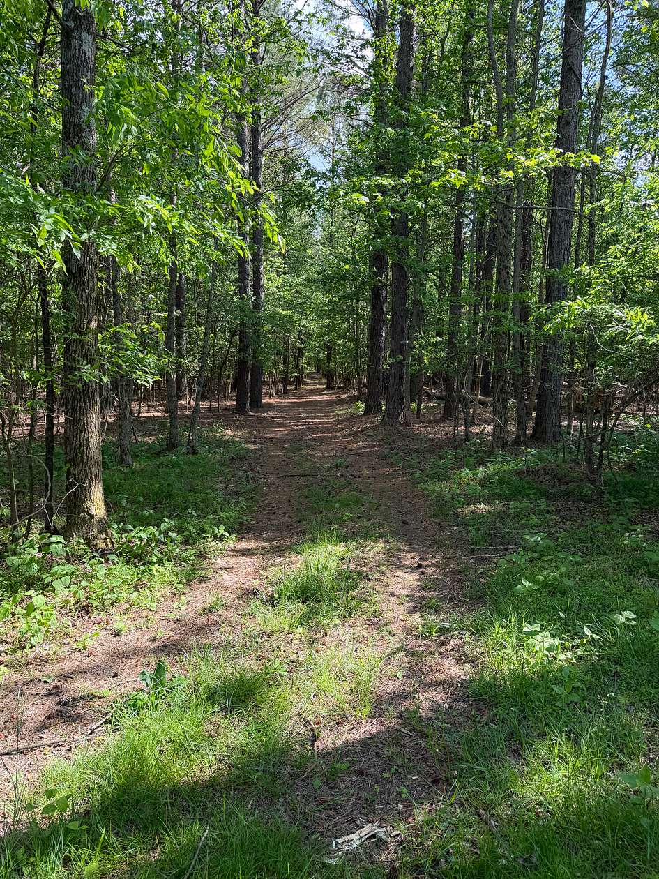 11 Acres of Recreational & Residential Land for Sale in Decherd, Tennessee