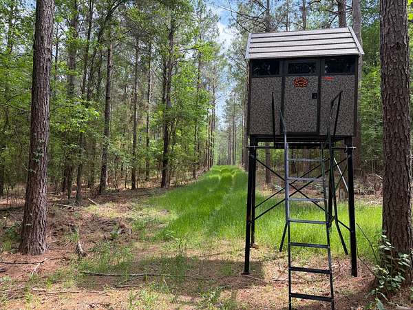275 Acres of Land with Home for Sale in Winnfield, Louisiana
