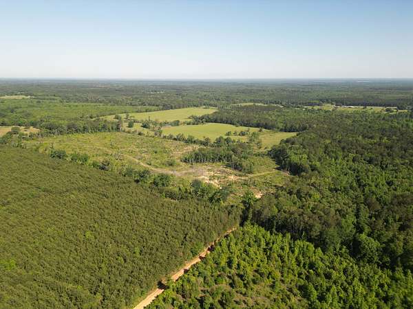 92 Acres of Land for Sale in Naples, Texas
