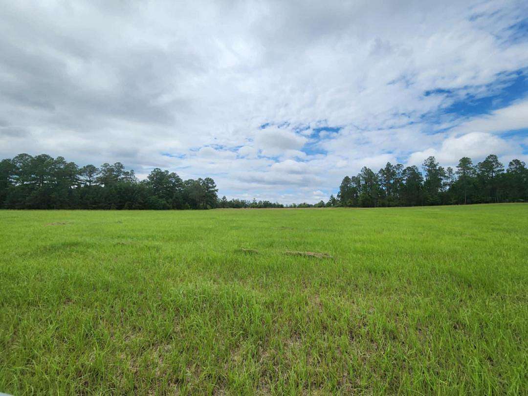 21.7 Acres of Agricultural & Residential Land for Sale in Swainsboro, Georgia
