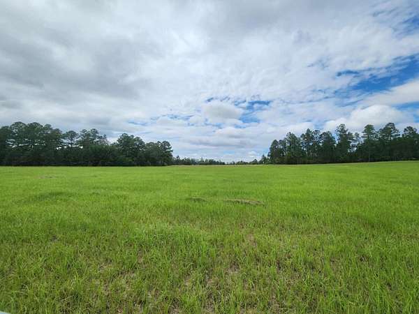 21.7 Acres of Agricultural & Residential Land for Sale in Swainsboro, Georgia