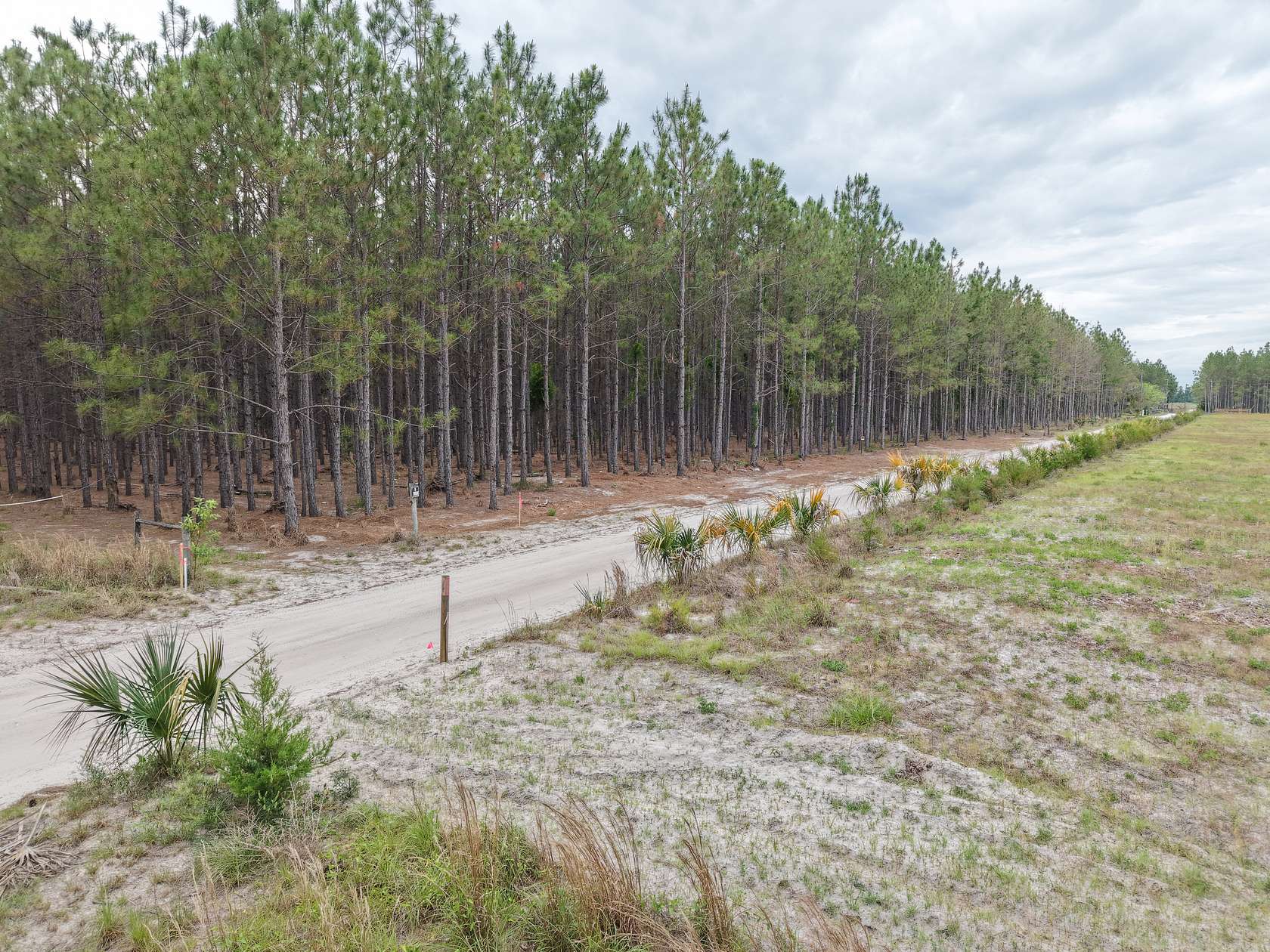 63.8 Acres of Land for Sale in Branford, Florida