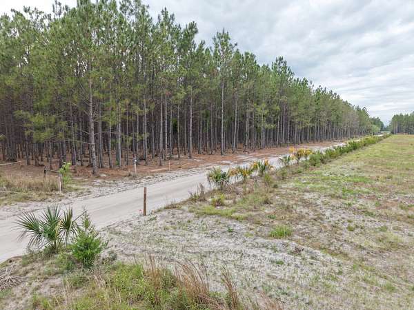 63.8 Acres of Land for Sale in Branford, Florida