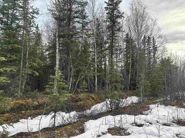 5 Acres of Residential Land for Sale in Salcha, Alaska