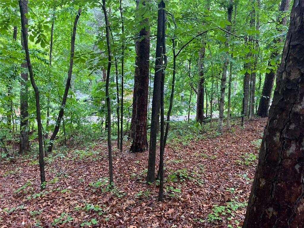 0.4 Acres of Residential Land for Sale in Lavonia, Georgia