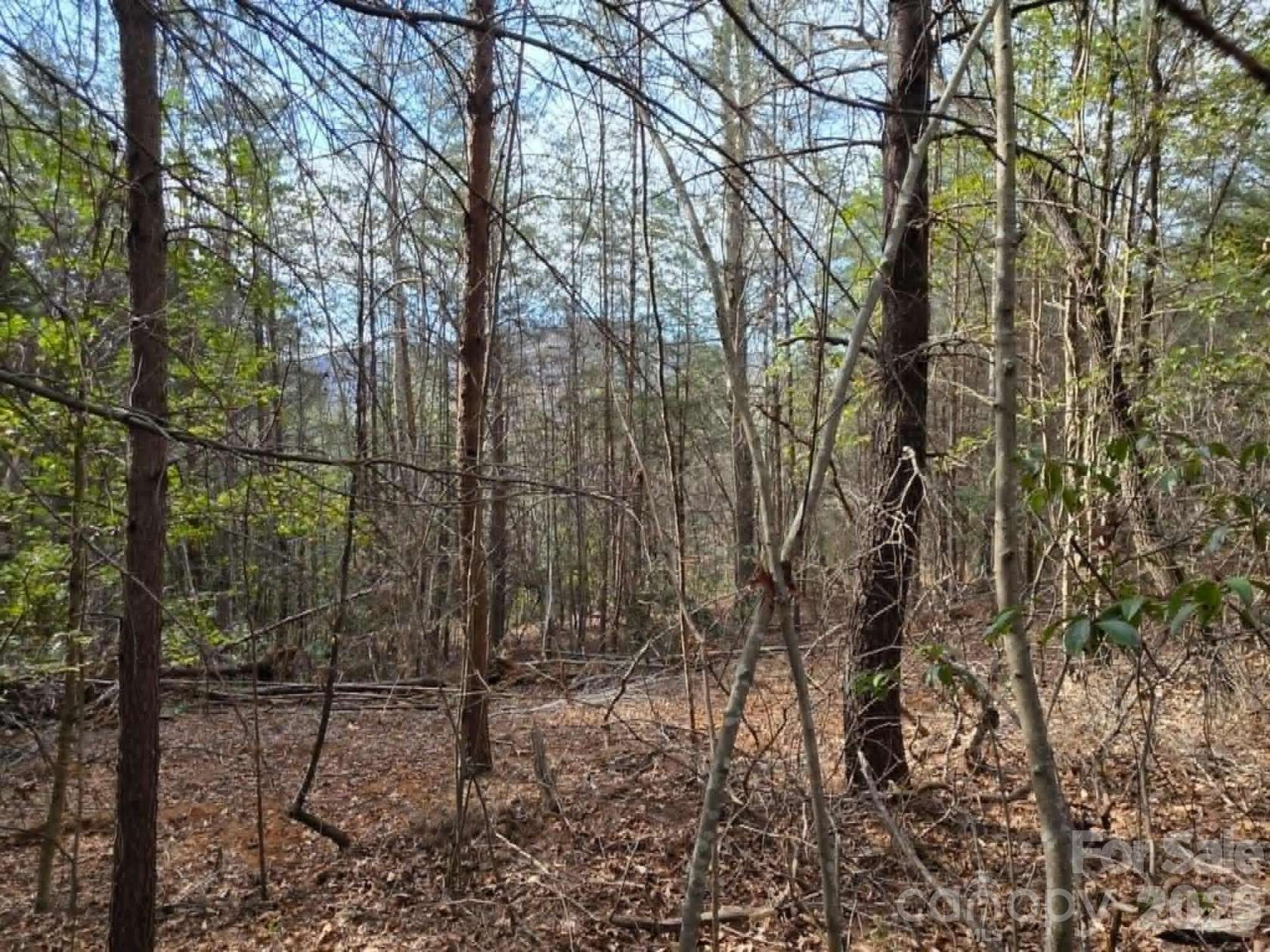 1 Acre of Residential Land for Sale in Old Fort, North Carolina