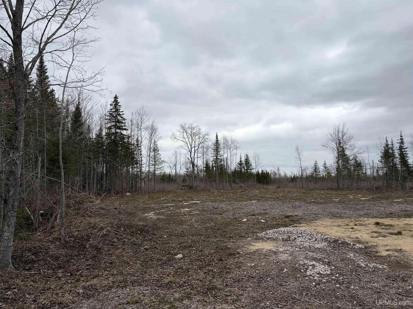 40 Acres of Land for Sale in Gulliver, Michigan