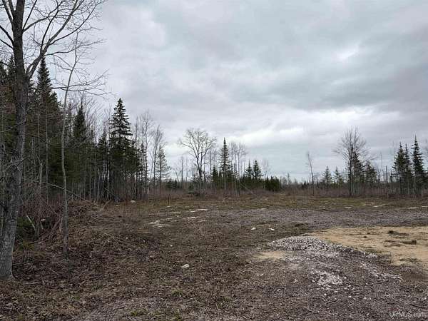 40 Acres of Recreational & Residential Land for Sale in Gulliver, Michigan