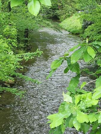 5 Acres of Residential Land for Sale in Bryson City, North Carolina
