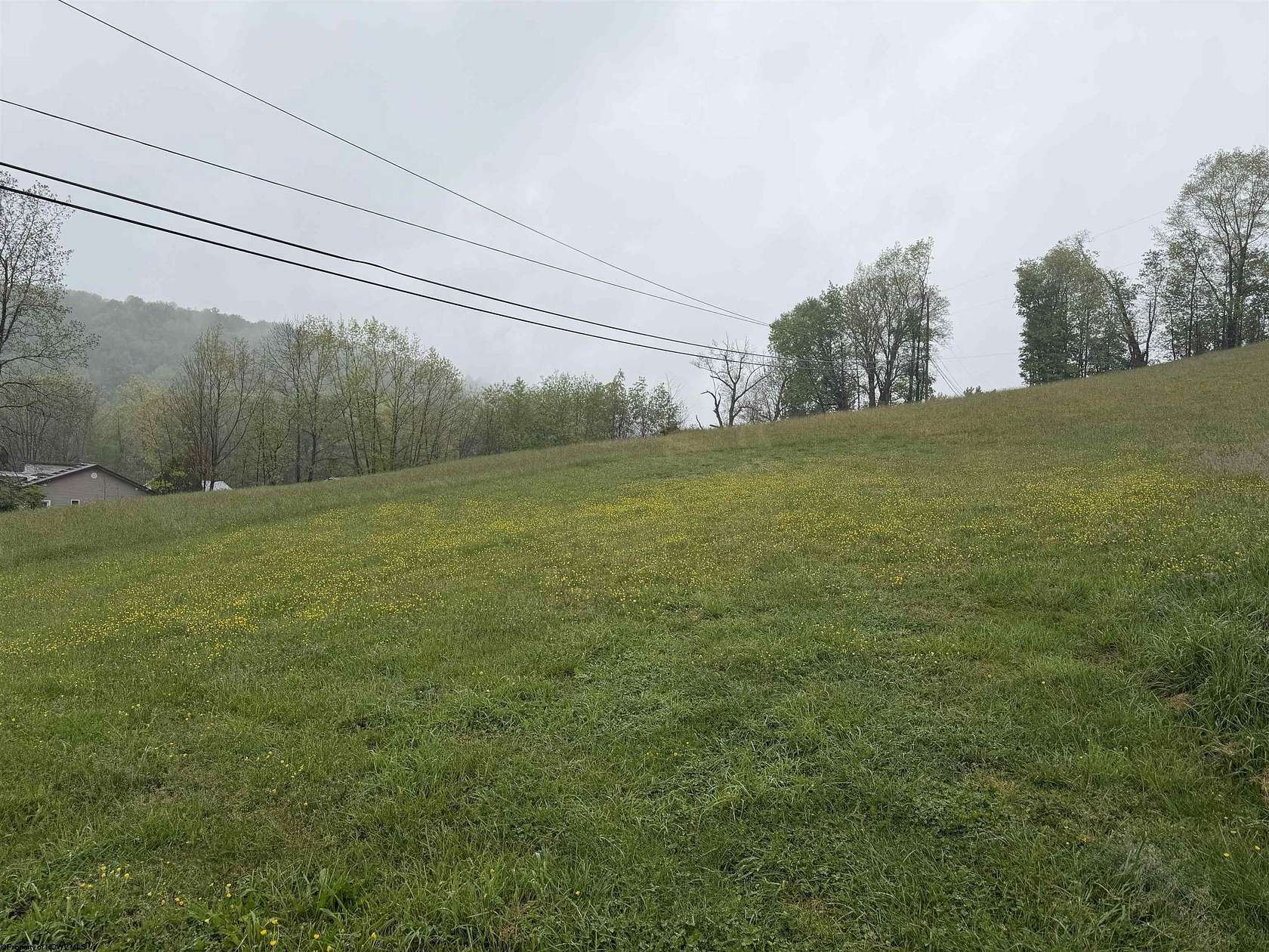 14.8 Acres of Land for Sale in Buckhannon, West Virginia