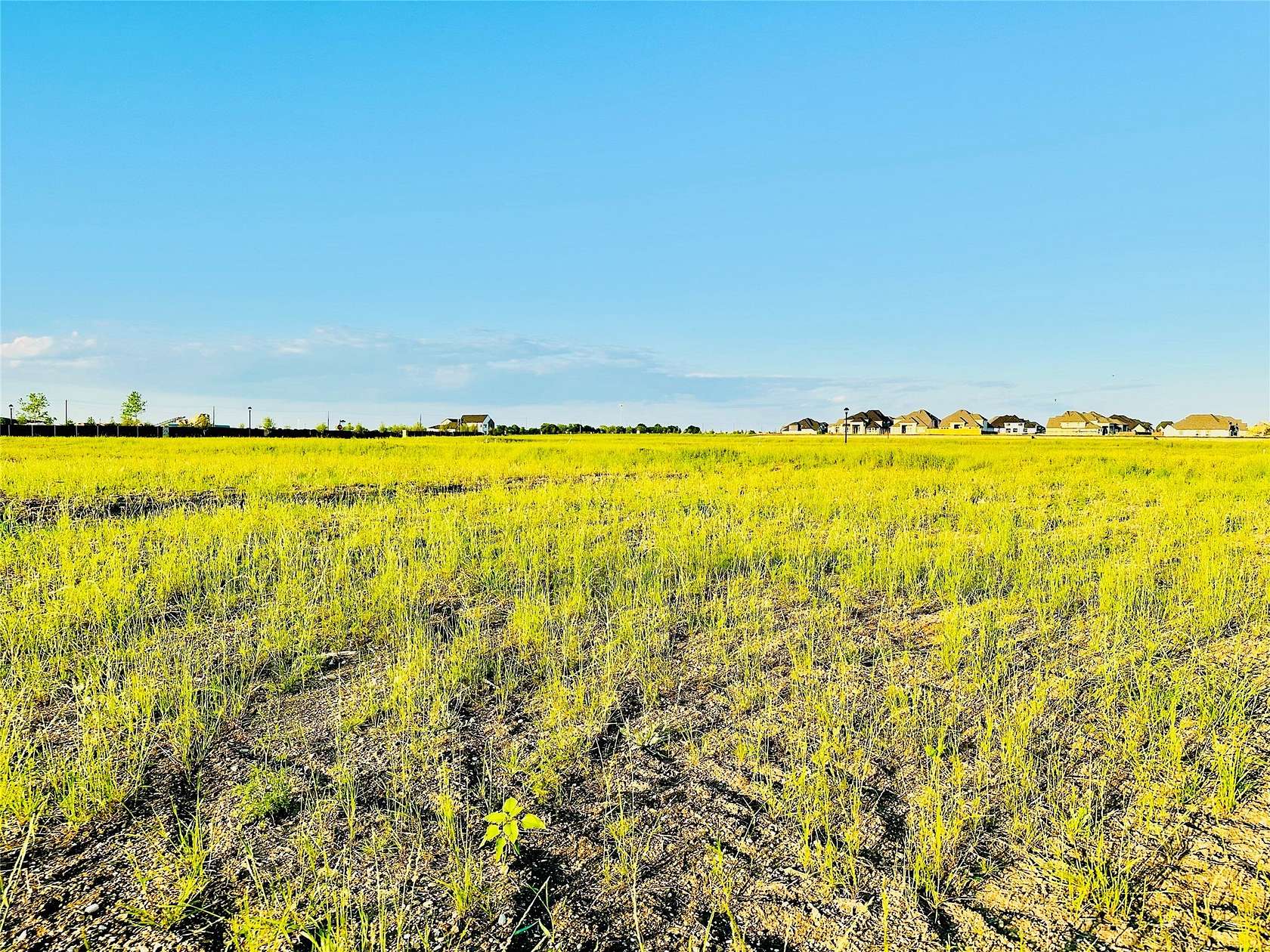 0.29 Acres of Residential Land for Sale in Prosper, Texas