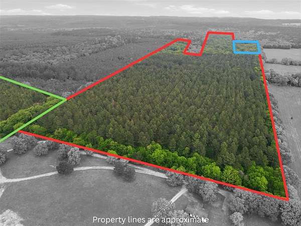 93 Acres of Recreational Land for Sale in Hawkins, Texas