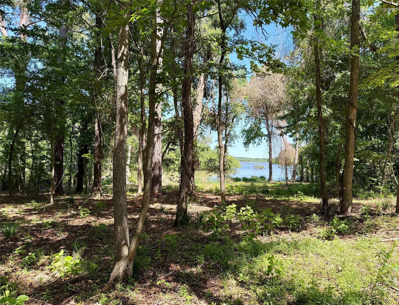 1.25 Acres of Residential Land for Sale in Chandler, Texas