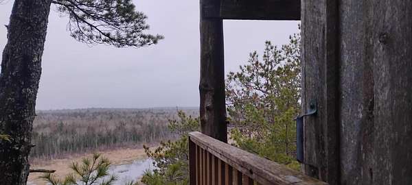 27 Acres of Recreational & Residential Land for Sale in Pembroke, Maine