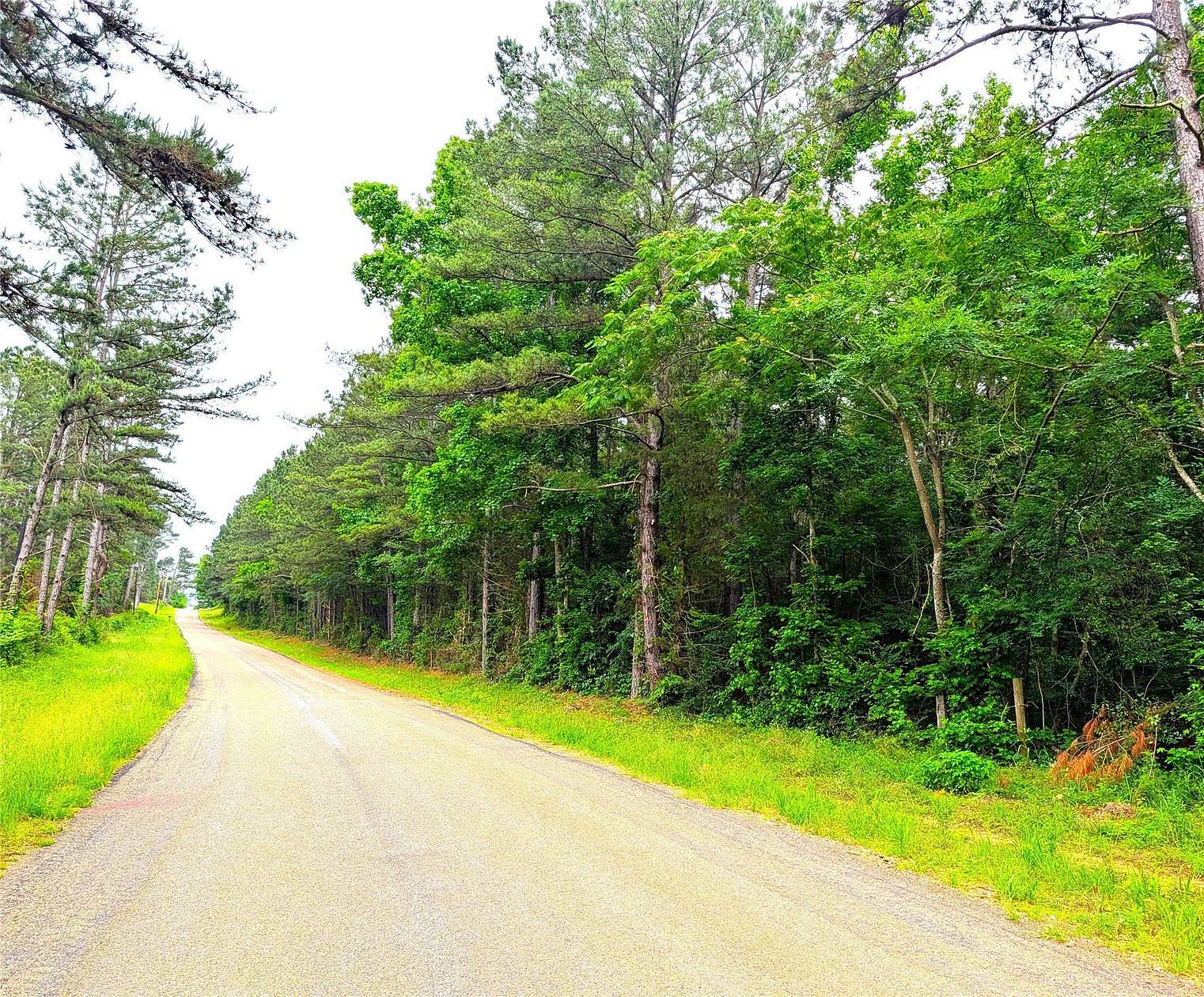 66.4 Acres of Land for Sale in Jacksonville, Texas