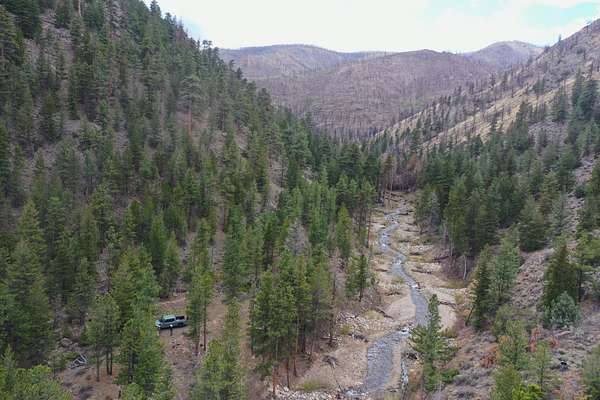 55.8 Acres of Recreational Land for Sale in Bellvue, Colorado