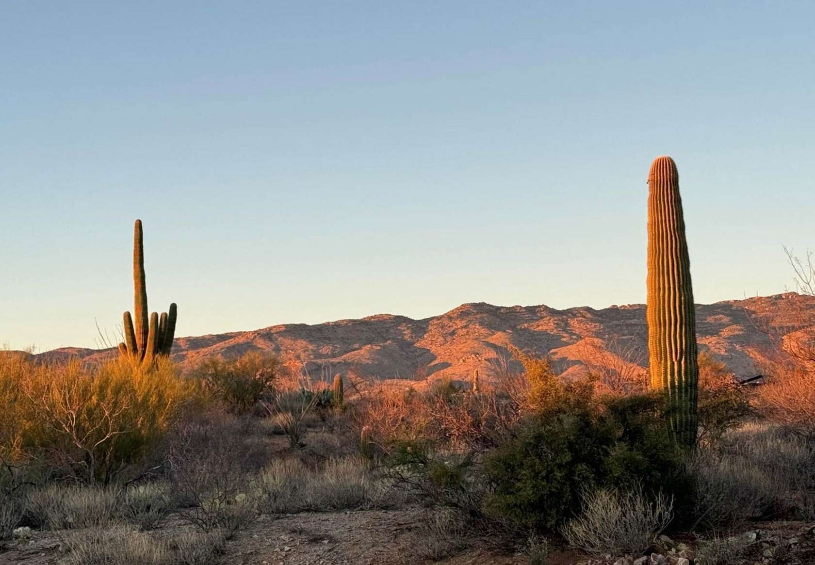 1.82 Acres of Residential Land for Sale in Vail, Arizona