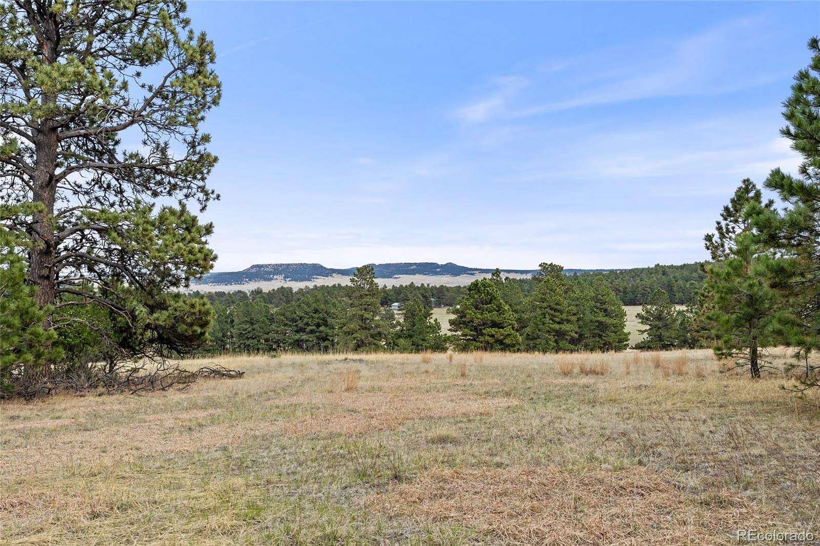 32 Acres of Land for Sale in Elbert, Colorado
