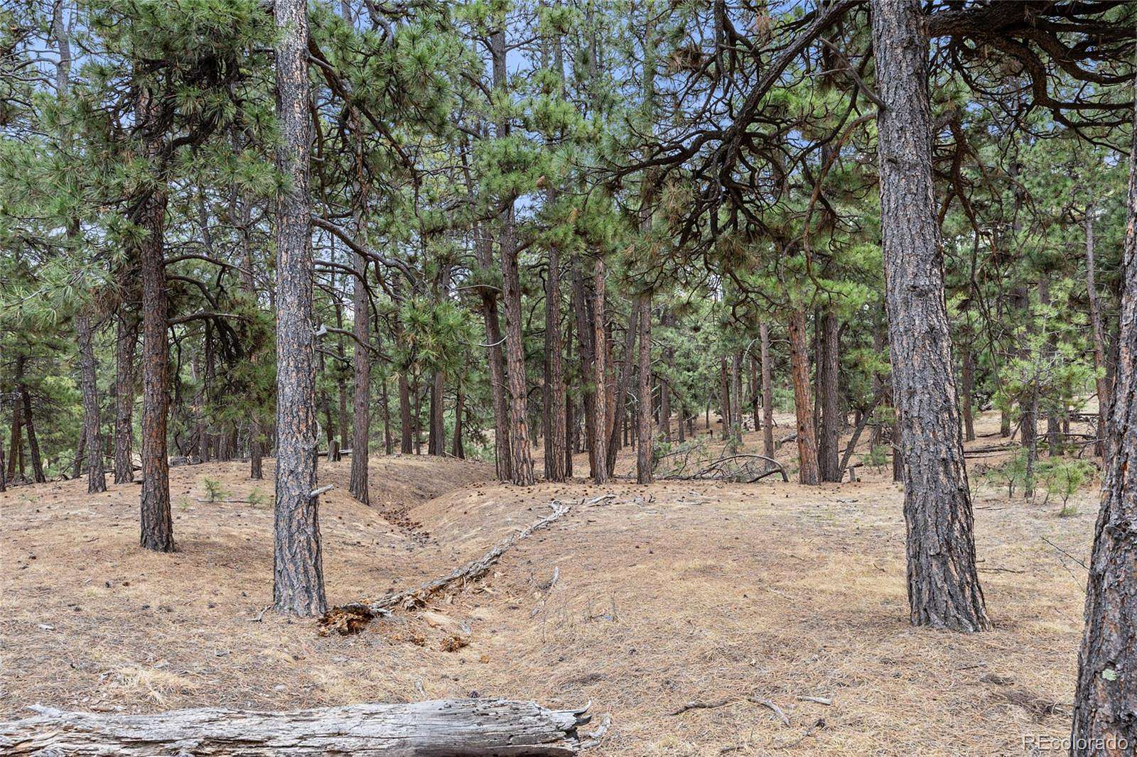 32 Acres of Land for Sale in Elbert, Colorado
