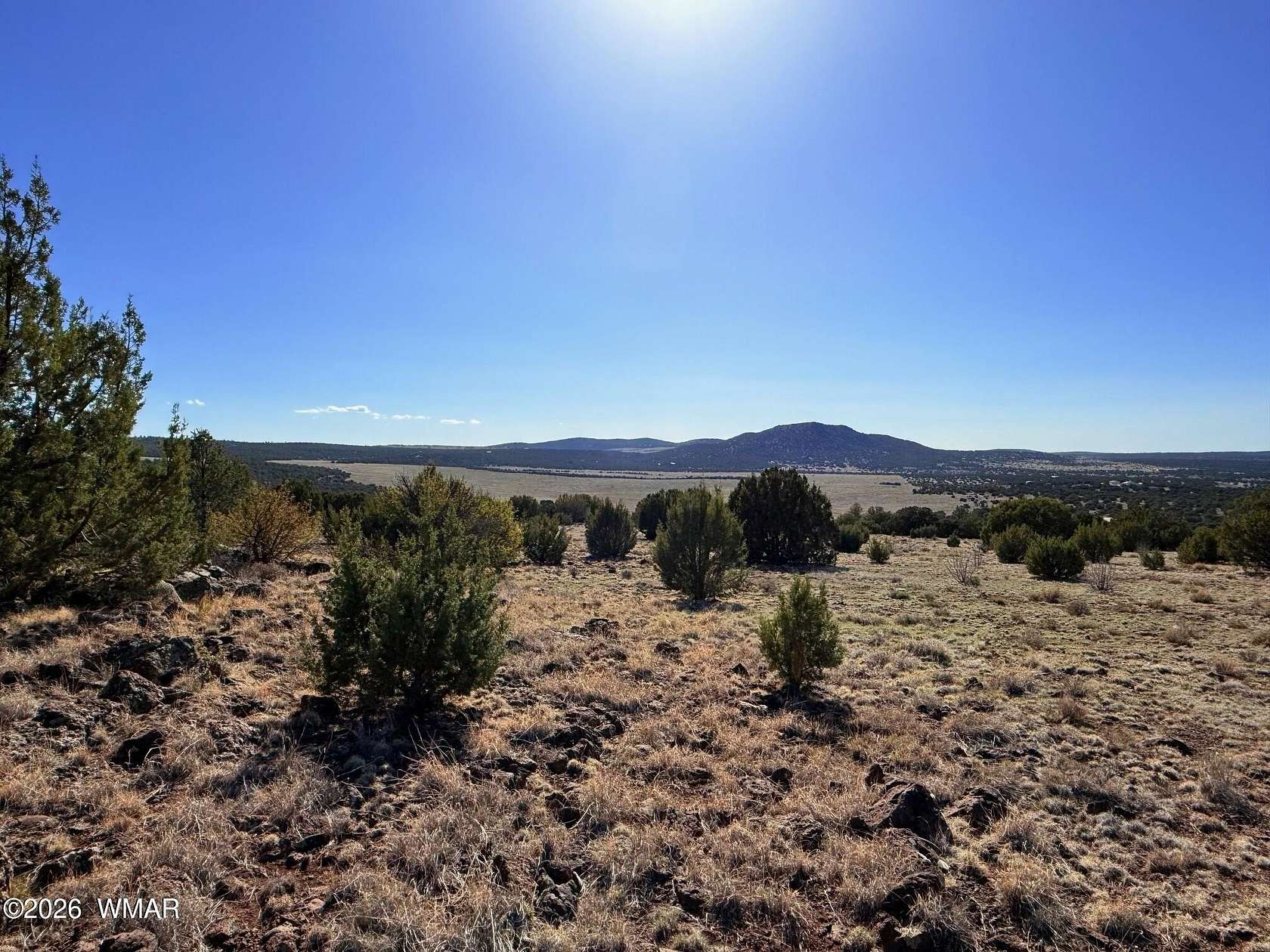 37.9 Acres of Recreational & Residential Land for Sale in Vernon, Arizona