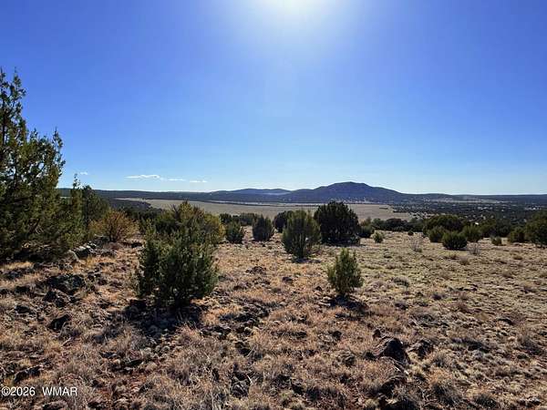 37.9 Acres of Recreational & Residential Land for Sale in Vernon, Arizona