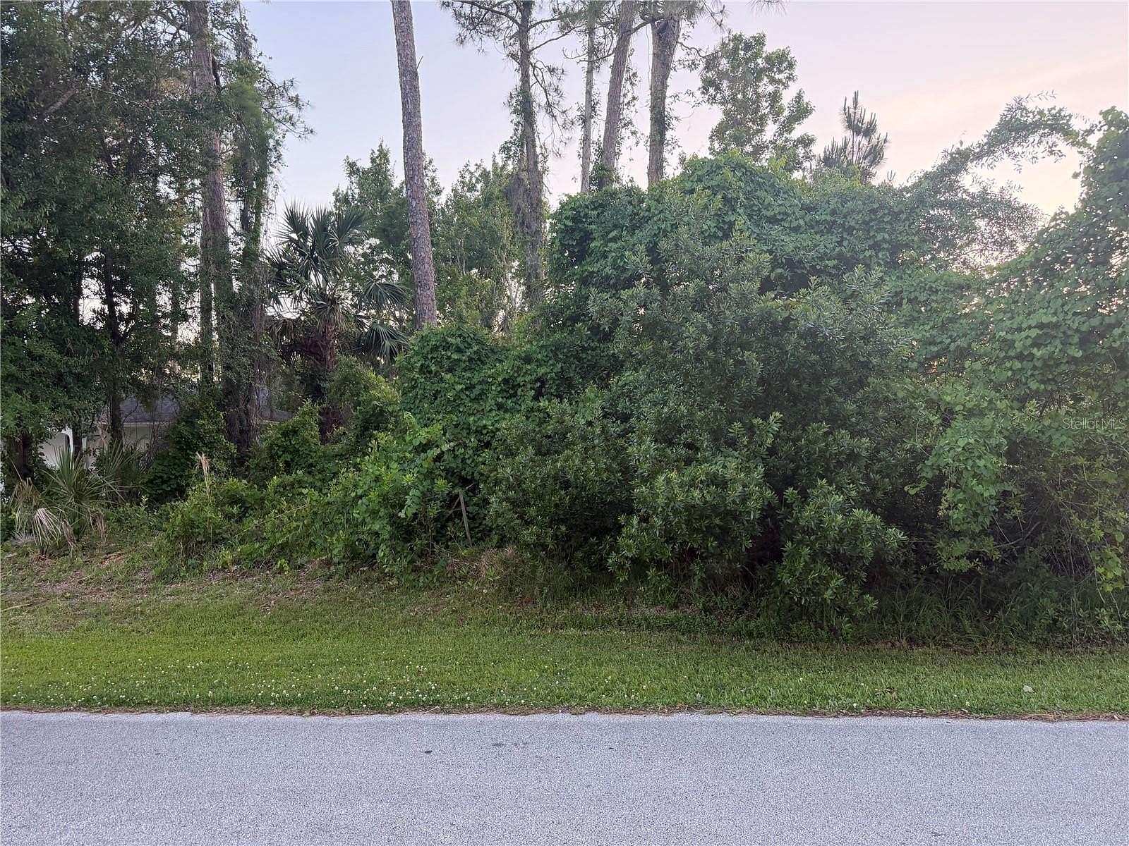0.23 Acres of Residential Land for Sale in Palm Coast, Florida