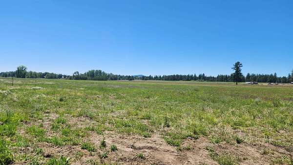 11 Acres of Land with Home for Sale in Deer Park, Washington