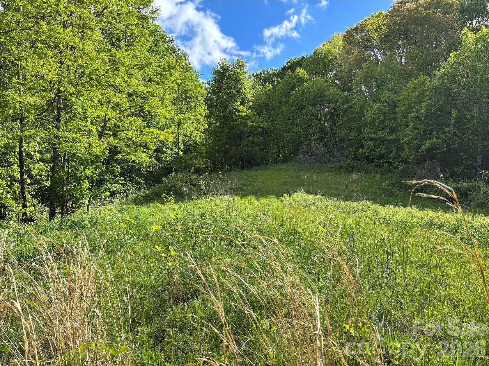 17 Acres of Recreational & Residential Land for Sale in Hot Springs, North Carolina