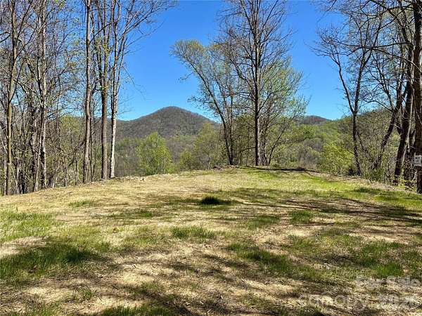 17 Acres of Recreational & Residential Land for Sale in Hot Springs, North Carolina