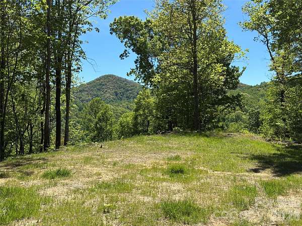 17 Acres of Recreational & Residential Land for Sale in Hot Springs, North Carolina