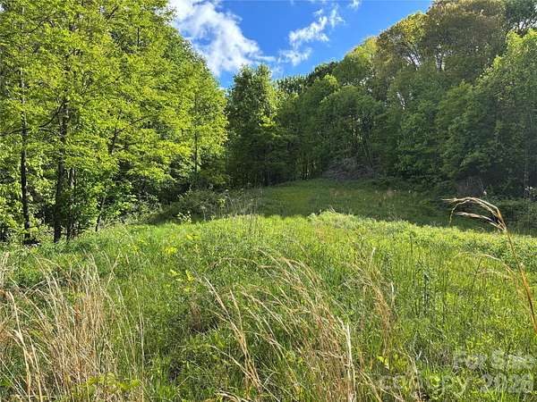 17 Acres of Recreational & Residential Land for Sale in Hot Springs, North Carolina