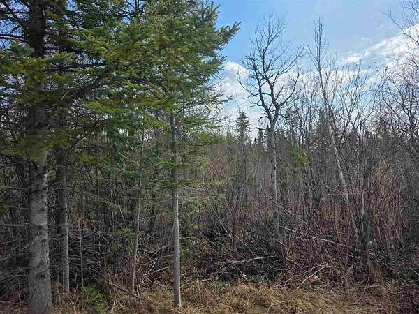 1 Acre of Residential Land for Sale in Indian River, Michigan