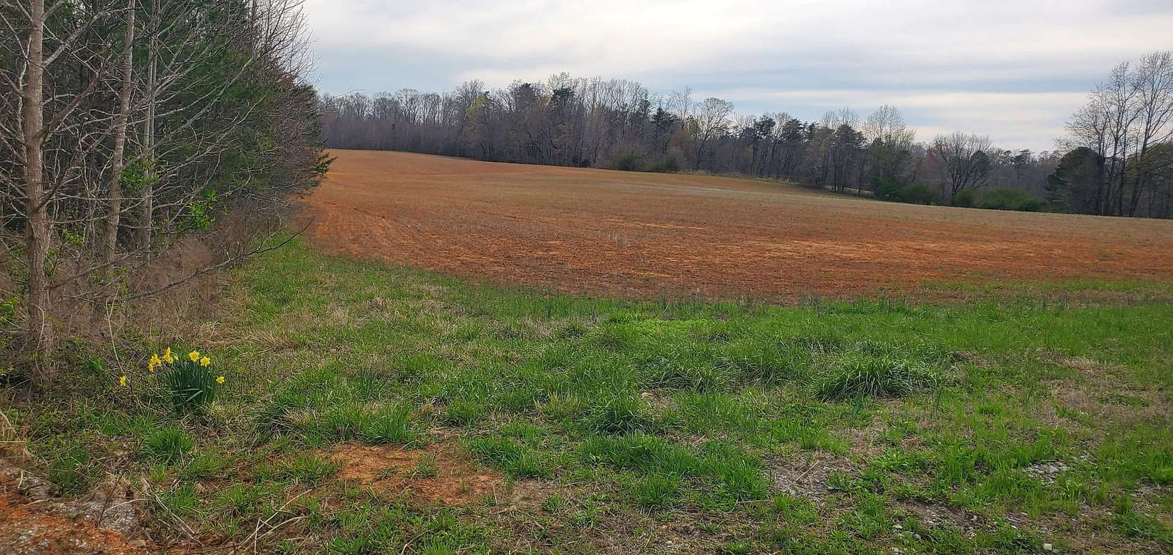 25 Acres of Land for Sale in Winston-Salem, North Carolina