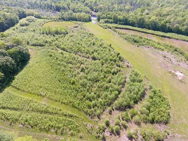 63 Acres of Recreational Land for Sale in Lawrenceville, Illinois