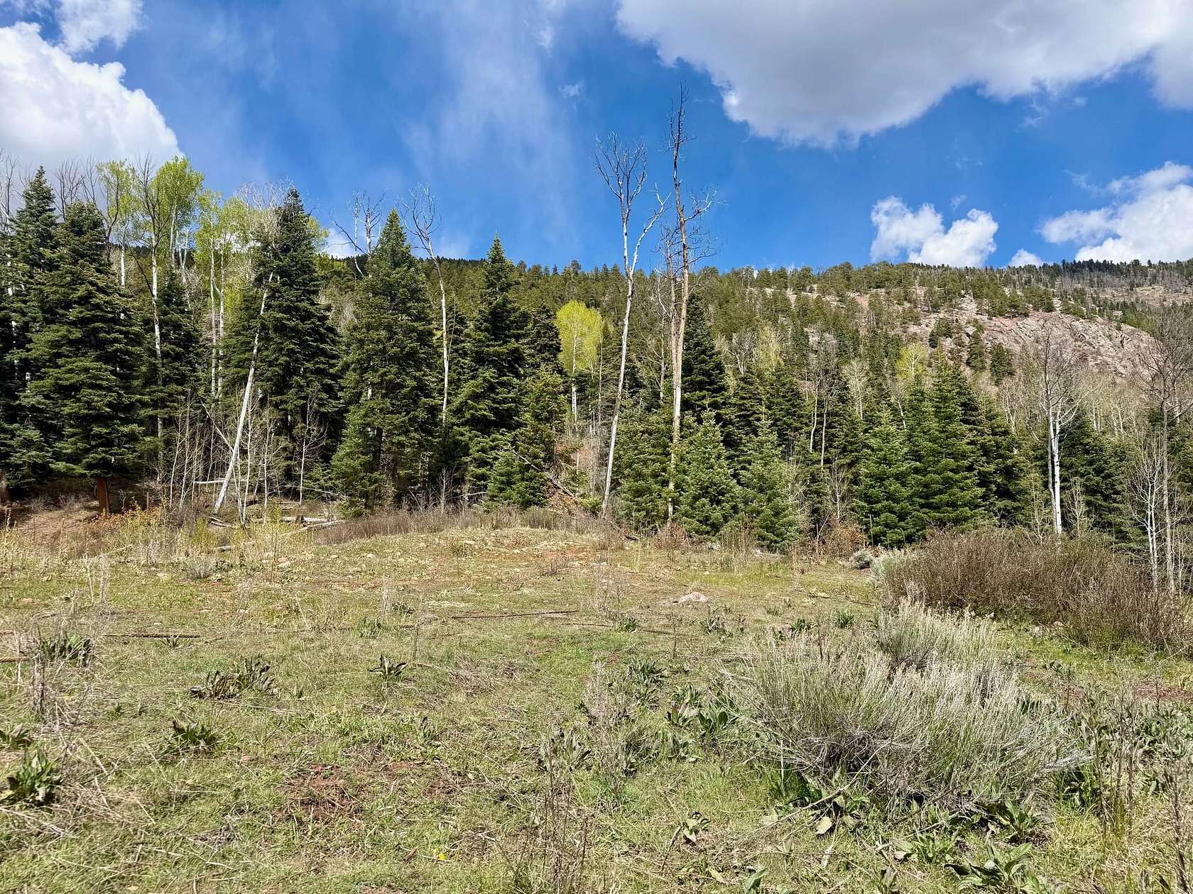 6.54 Acres of Land for Sale in Tierra Amarilla, New Mexico