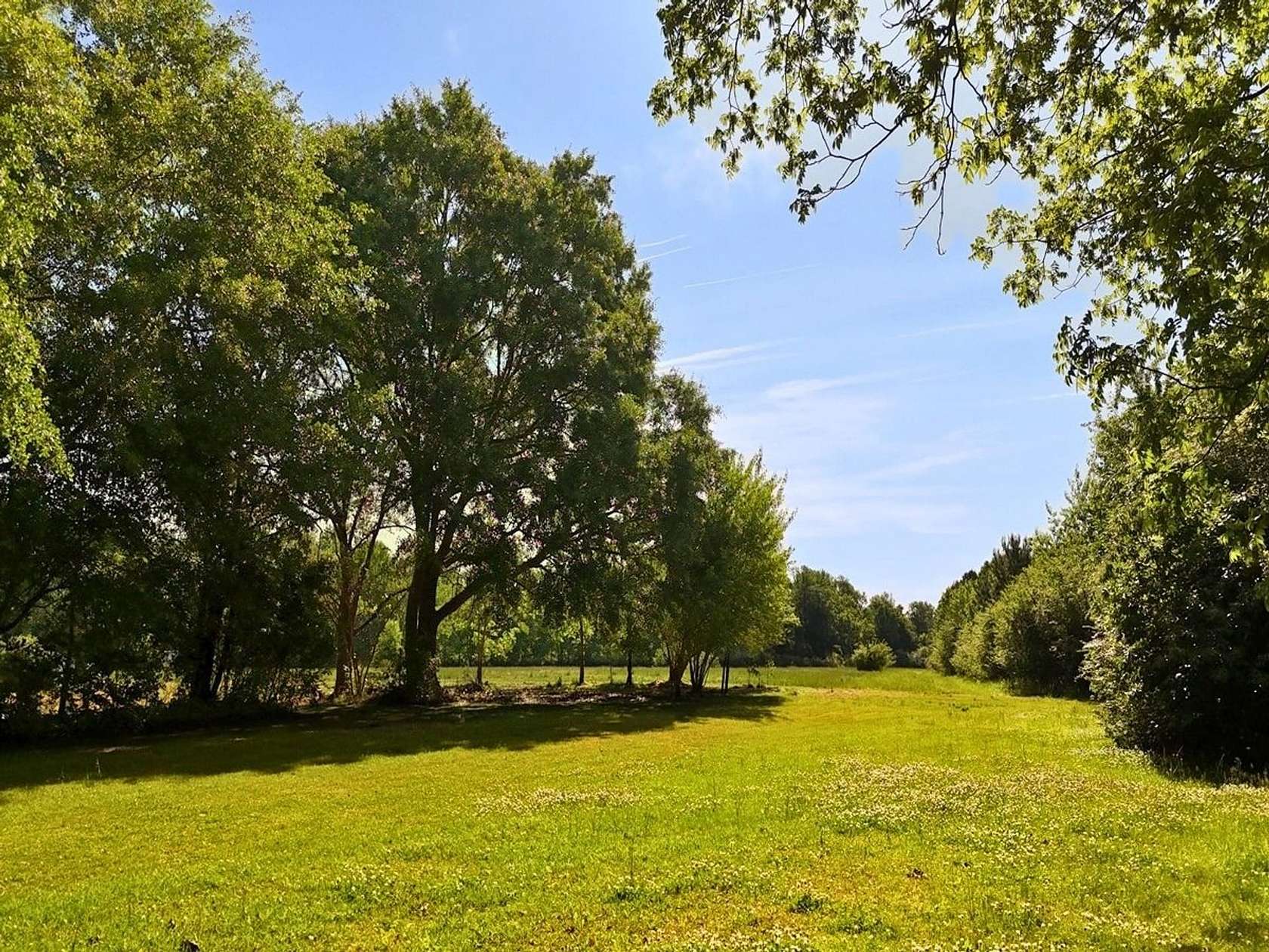 1 Acre of Residential Land for Sale in Beulaville, North Carolina