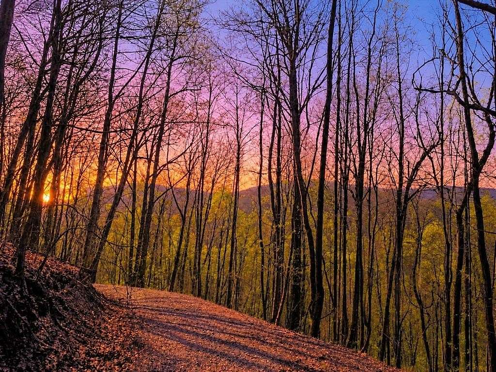 29 Acres of Land for Sale in Ellijay, Georgia